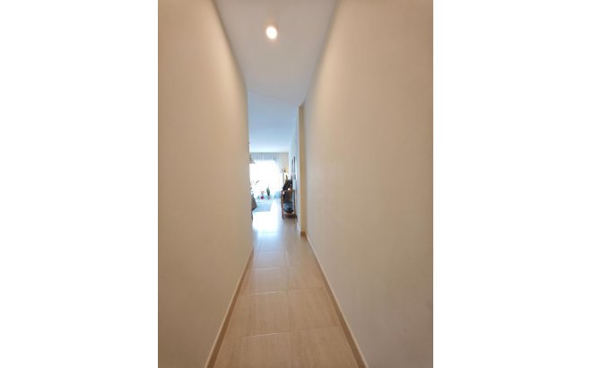 Resale - Apartment -
San Miguel de Salinas - Pueblo 9