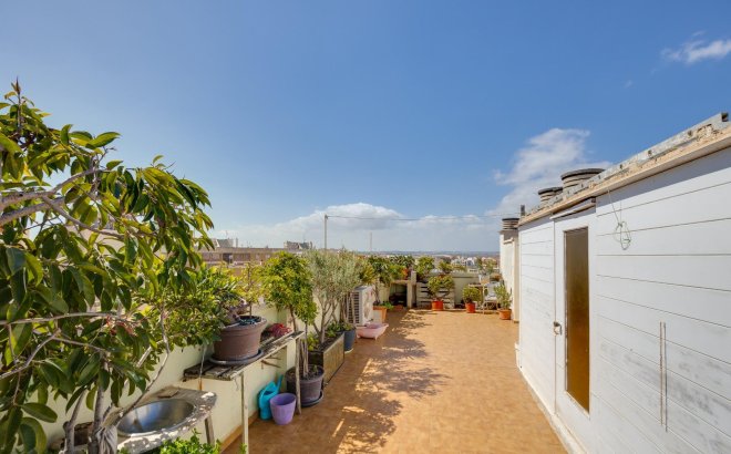 Resale - Penthouse -
Torrevieja - Centro