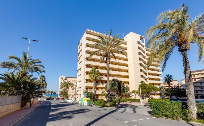 Herverkoop - Appartement -
Torrevieja - Cabo Cervera
