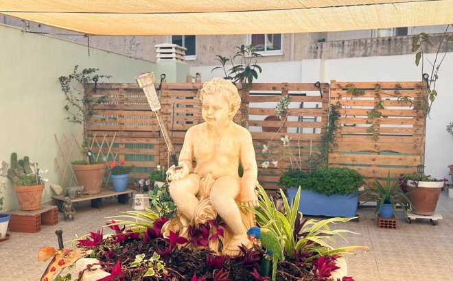 Revente - Appartement -
Torrevieja - Costa Blanca