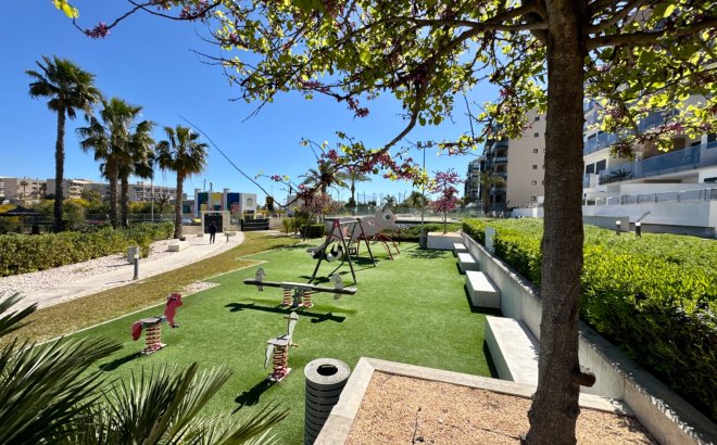 Resale - Apartment -
Pilar de la Horadada - Mil Palmeras