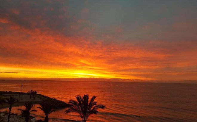 Revente - Appartement -
Torrevieja - Las Piscinas Naturales