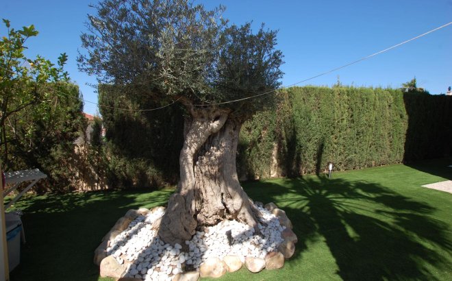 Resale - Villa -
Ciudad Quesada - Costa Blanca