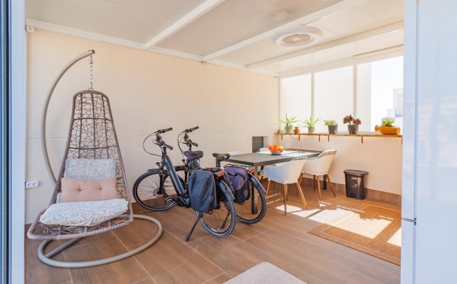 Resale - Apartment -
San Miguel de Salinas - Bellavista