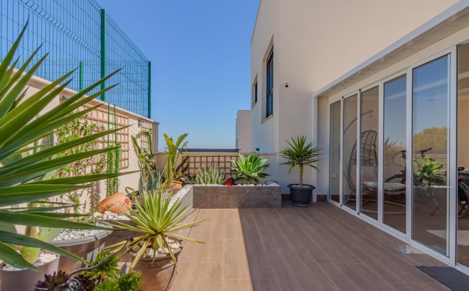 Resale - Apartment -
San Miguel de Salinas - Bellavista
