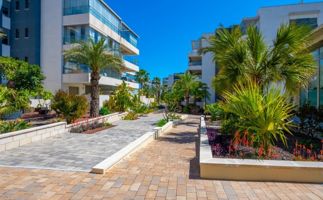 Resale - Apartment -
Orihuela Costa - Los Dolses