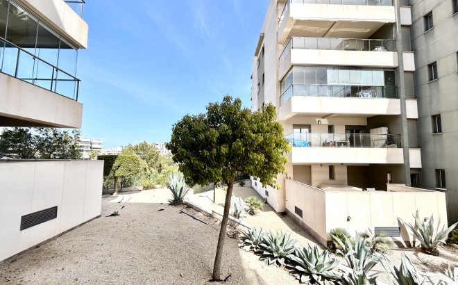 Resale - Apartment -
Los Dolses - Inland