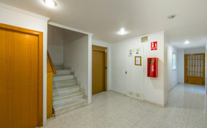 Resale - Apartment -
Torrevieja - Estacion De Autobuses