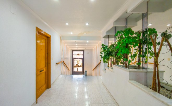 Resale - Apartment -
Torrevieja - Estacion De Autobuses