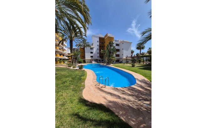 Resale - Apartment -
Punta Prima - Costa Blanca