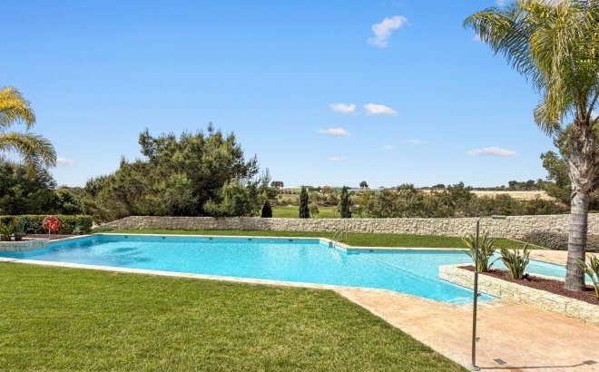 Resale - Apartment -
Pilar de la Horadada - Costa Blanca