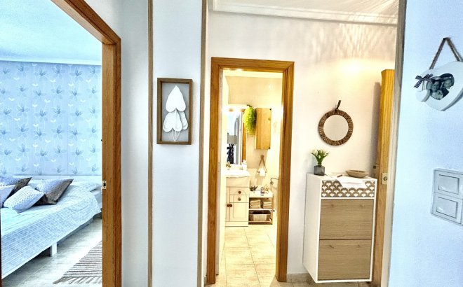 Resale - Apartment -
Torrevieja - Costa Blanca