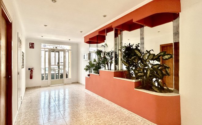 Resale - Apartment -
Torrevieja - Costa Blanca