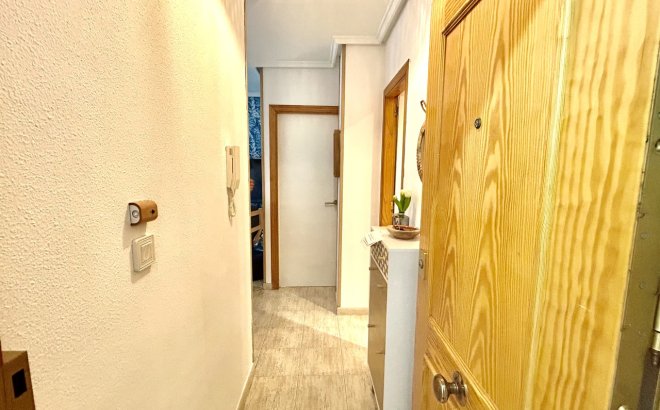 Resale - Apartment -
Torrevieja - Costa Blanca