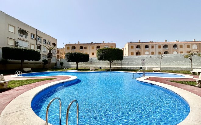 Resale - Apartment -
Torrevieja - Costa Blanca