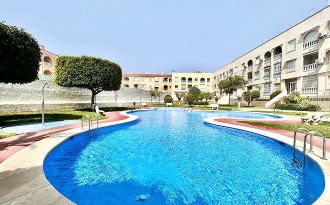 Resale - Apartment -
Torrevieja - Costa Blanca