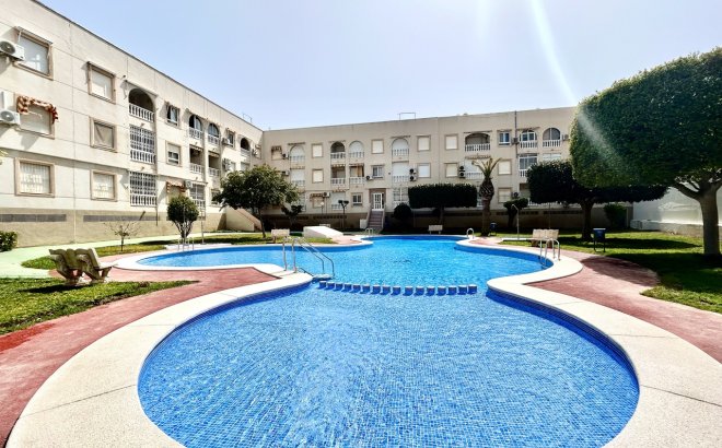Resale - Apartment -
Torrevieja - Costa Blanca