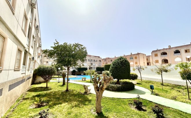 Resale - Apartment -
Torrevieja - Costa Blanca