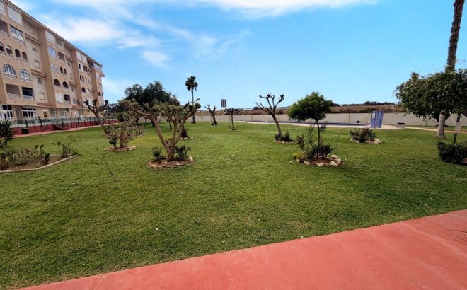 Resale - Penthouse -
Torrevieja - Costa Blanca
