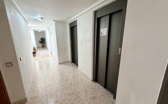 Resale - Penthouse -
Torrevieja - Costa Blanca