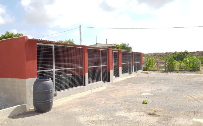 Herverkoop - Finca -
Los Montesinos