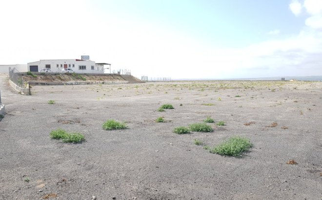 Herverkoop - Finca -
Los Montesinos