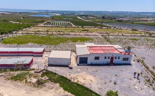 Herverkoop - Finca -
Los Montesinos