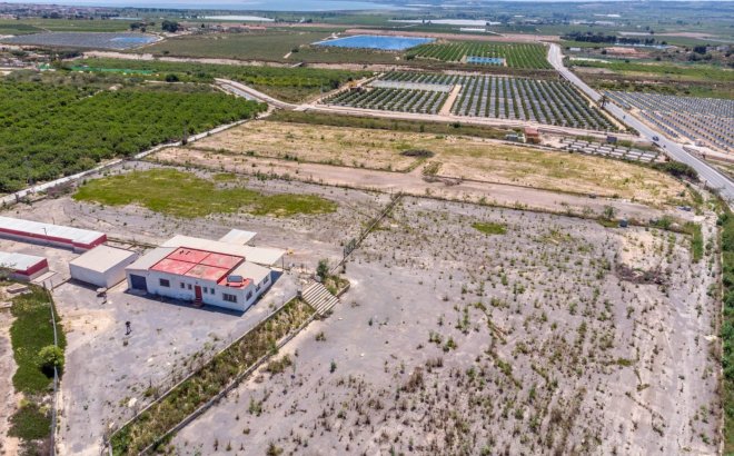 Herverkoop - Finca -
Los Montesinos