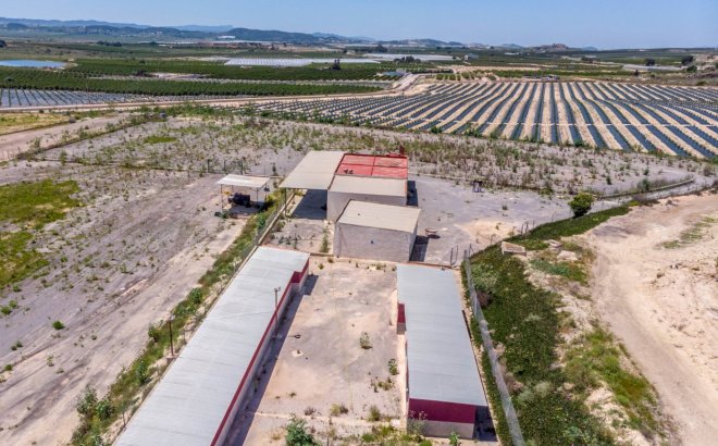 Herverkoop - Finca -
Los Montesinos