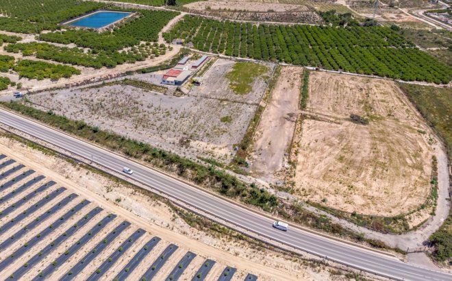 Herverkoop - Finca -
Los Montesinos