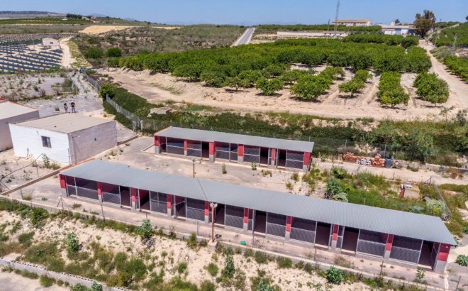 Herverkoop - Finca -
Los Montesinos