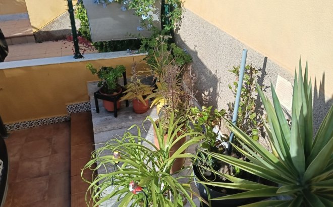 Resale - Apartment -
Los Montesinos - Costa Blanca