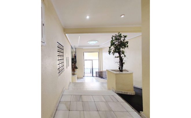 Resale - Penthouse -
Torrevieja - Curva Del Palangre