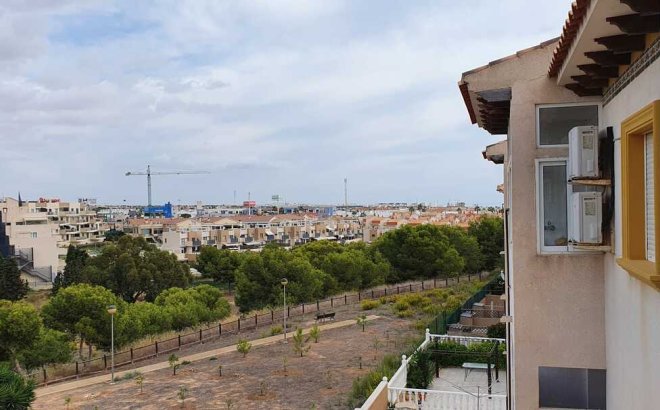 Resale - Apartment -
Cabo Roig - Costa Blanca