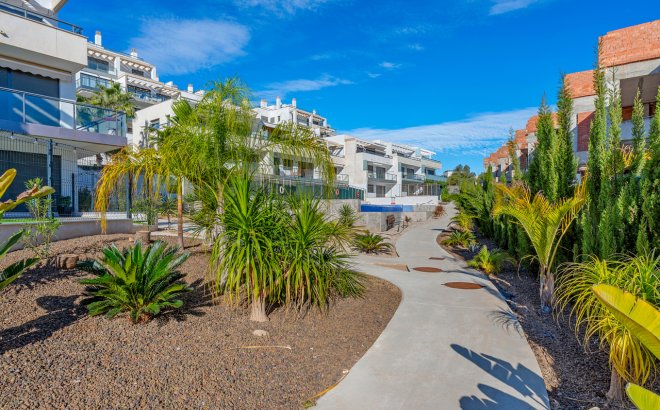 Revente - Appartement -
Campoamor - Costa Blanca