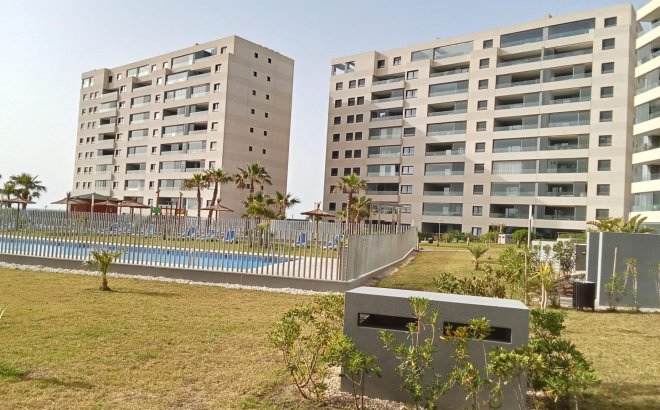 Revente - Appartement -
Torrevieja - Punta Prima