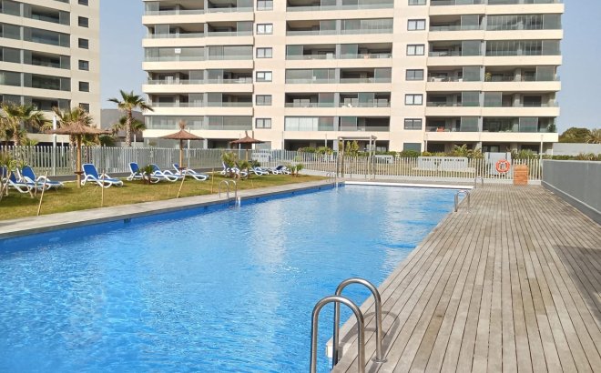 Revente - Appartement -
Torrevieja - Punta Prima
