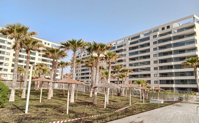 Revente - Appartement -
Torrevieja - Punta Prima
