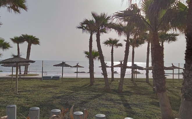 Revente - Appartement -
Torrevieja - Punta Prima