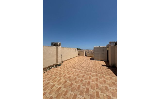 Resale - Apartment -
Lo Pepin - Inland