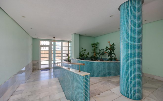 Revente - Appartement -
Torrevieja - Estacion De Autobuses