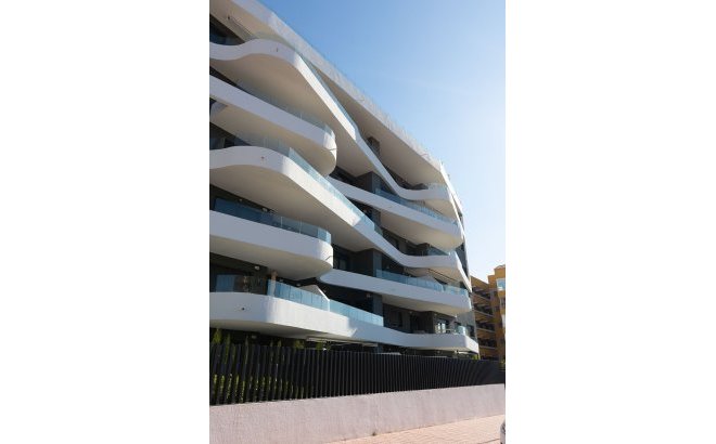 Resale - Apartment -
Torrevieja - Costa Blanca