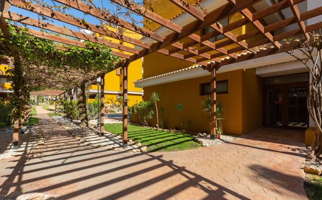 Herverkoop - Appartement -
Torrevieja - Costa Blanca