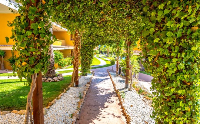 Herverkoop - Appartement -
Torrevieja - Costa Blanca