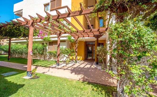 Herverkoop - Appartement -
Torrevieja - Costa Blanca