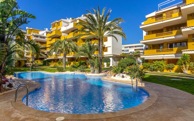 Herverkoop - Appartement -
Torrevieja - Costa Blanca