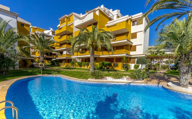 Herverkoop - Appartement -
Torrevieja - Costa Blanca