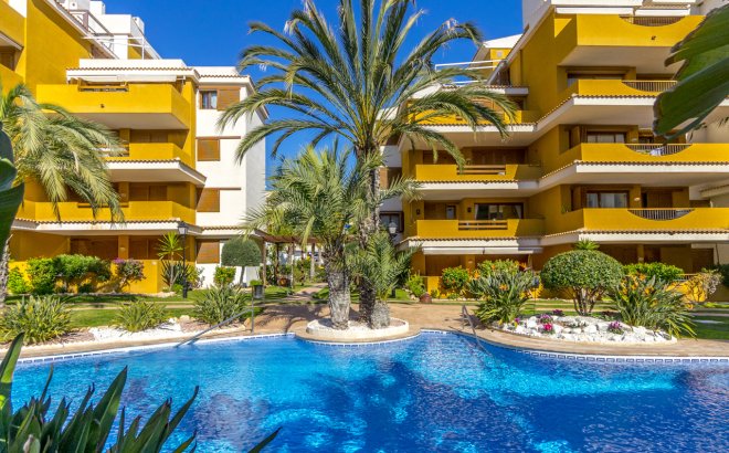 Herverkoop - Appartement -
Torrevieja - Costa Blanca