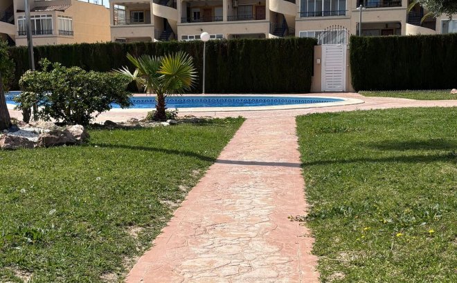 Herverkoop - Appartement -
Punta Prima - Costa Blanca
