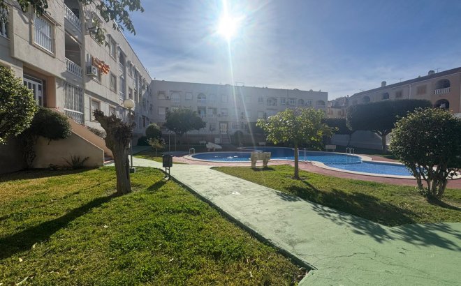 Herverkoop - Appartement -
Torrevieja - Costa Blanca